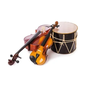 Aysan Global Müzik Aletleri