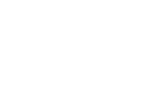 Aysan Global Partners Esasstech